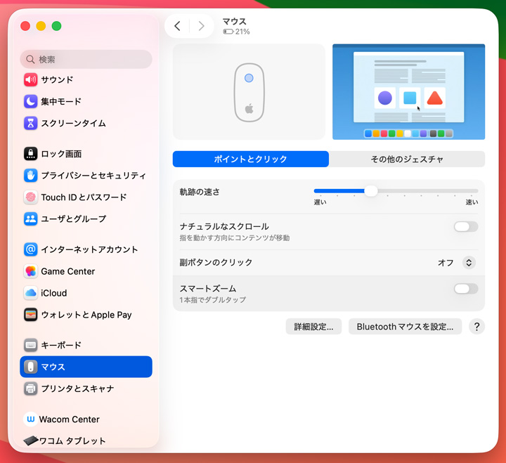 マウスの設定画面