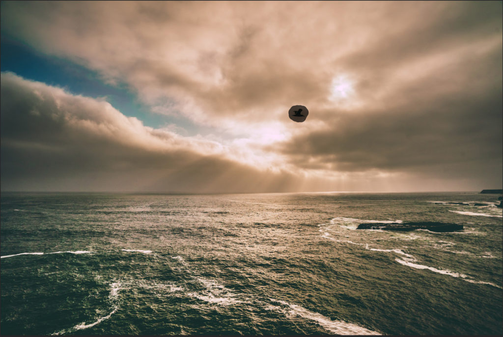Photoshopのスポット修復ブラシで空の鳥をなぞっている画面