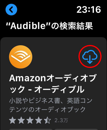 音声検索の結果画面